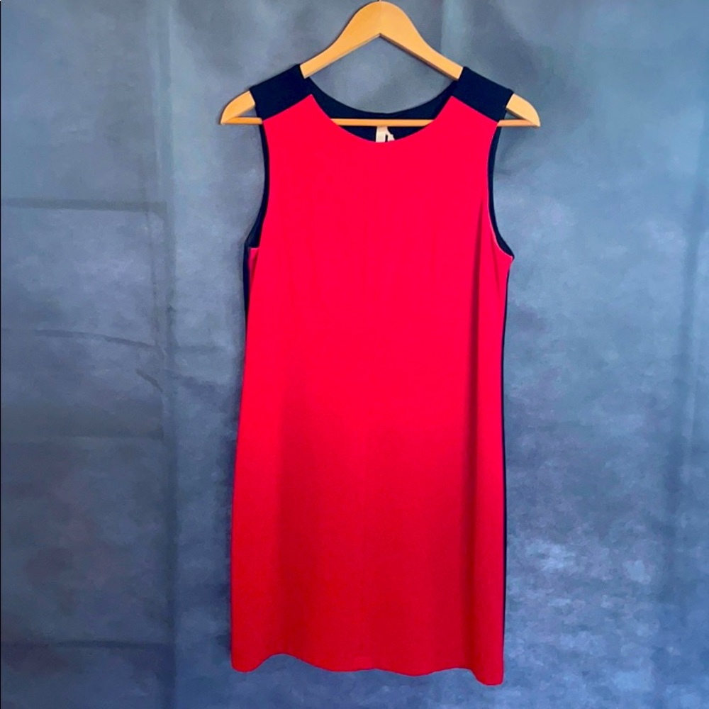 Bailey 44 dress